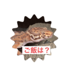 shino0829（個別スタンプ：2）