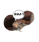 shino0829（個別スタンプ：4）