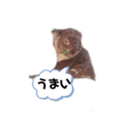 shino0829（個別スタンプ：5）