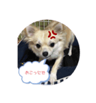 momo j o 2（個別スタンプ：7）
