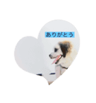 そして犬となる（個別スタンプ：5）