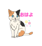 我家のニャンこ達（個別スタンプ：1）