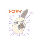 我家のニャンこ達（個別スタンプ：3）