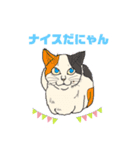 我家のニャンこ達（個別スタンプ：8）
