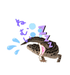 うちのヤモリーズスタンプ（個別スタンプ：5）
