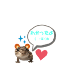 うちのヤモリーズスタンプ（個別スタンプ：6）