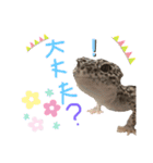 うちのヤモリーズスタンプ（個別スタンプ：8）