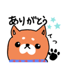 犬のてつくんの日常スタンプ（個別スタンプ：1）