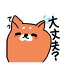 犬のてつくんの日常スタンプ（個別スタンプ：4）