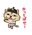 にゃんセグ（個別スタンプ：6）