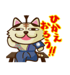 にゃんセグ（個別スタンプ：11）
