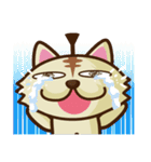 にゃんセグ（個別スタンプ：24）