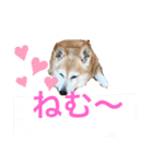ミラ先生（個別スタンプ：1）