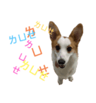 寶貝錢1（個別スタンプ：6）