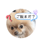 茶子と茶太郎スタンプ（個別スタンプ：2）