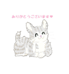 ねこ、ねこ、仔猫（個別スタンプ：3）