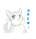 ねこ、ねこ、仔猫（個別スタンプ：4）