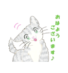 ねこ、ねこ、仔猫（個別スタンプ：5）