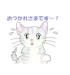 ねこ、ねこ、仔猫（個別スタンプ：6）
