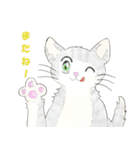 ねこ、ねこ、仔猫（個別スタンプ：8）