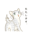 ねこ、ねこ、仔猫（個別スタンプ：9）