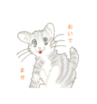 ねこ、ねこ、仔猫（個別スタンプ：10）