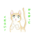 ねこ、ねこ、仔猫（個別スタンプ：11）