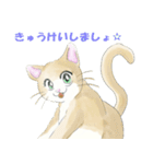 ねこ、ねこ、仔猫（個別スタンプ：12）
