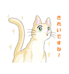 ねこ、ねこ、仔猫（個別スタンプ：14）