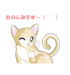 ねこ、ねこ、仔猫（個別スタンプ：15）