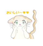 ねこ、ねこ、仔猫（個別スタンプ：16）