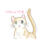 ねこ、ねこ、仔猫（個別スタンプ：17）