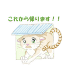 ねこ、ねこ、仔猫（個別スタンプ：18）