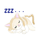ねこ、ねこ、仔猫（個別スタンプ：19）