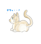 ねこ、ねこ、仔猫（個別スタンプ：20）