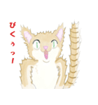 ねこ、ねこ、仔猫（個別スタンプ：21）