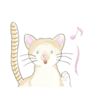 ねこ、ねこ、仔猫（個別スタンプ：22）