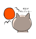 普段のぶたさん（個別スタンプ：19）