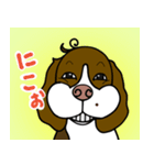 ゆる犬であいさつ（個別スタンプ：15）