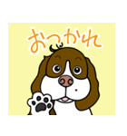 ゆる犬であいさつ（個別スタンプ：16）