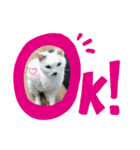 うしちゃんんん！（個別スタンプ：1）