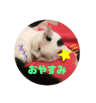 うしちゃんんん！（個別スタンプ：4）