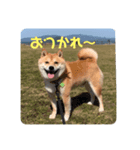 まめちゃんスタンプ讃岐弁（個別スタンプ：2）