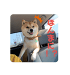 まめちゃんスタンプ讃岐弁（個別スタンプ：3）