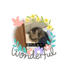 飯ねこ（個別スタンプ：8）