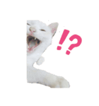 我が家のあいさつ（個別スタンプ：1）