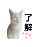 我が家のあいさつ（個別スタンプ：2）