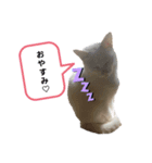 我が家のあいさつ（個別スタンプ：4）