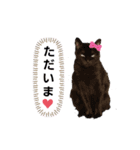 我が家のあいさつ（個別スタンプ：8）