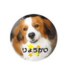 モネくん（個別スタンプ：1）